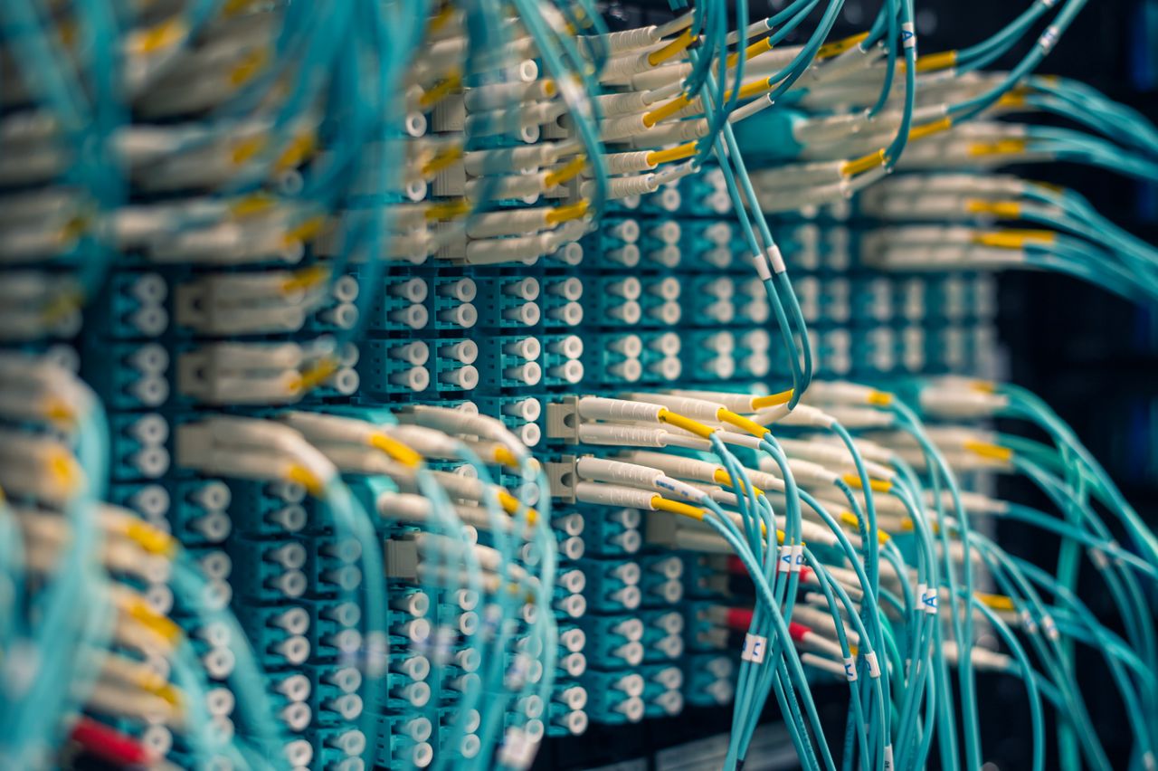 about-02 Closeup of rows of tiny round white electrical connectors and long thin blue wires in data center